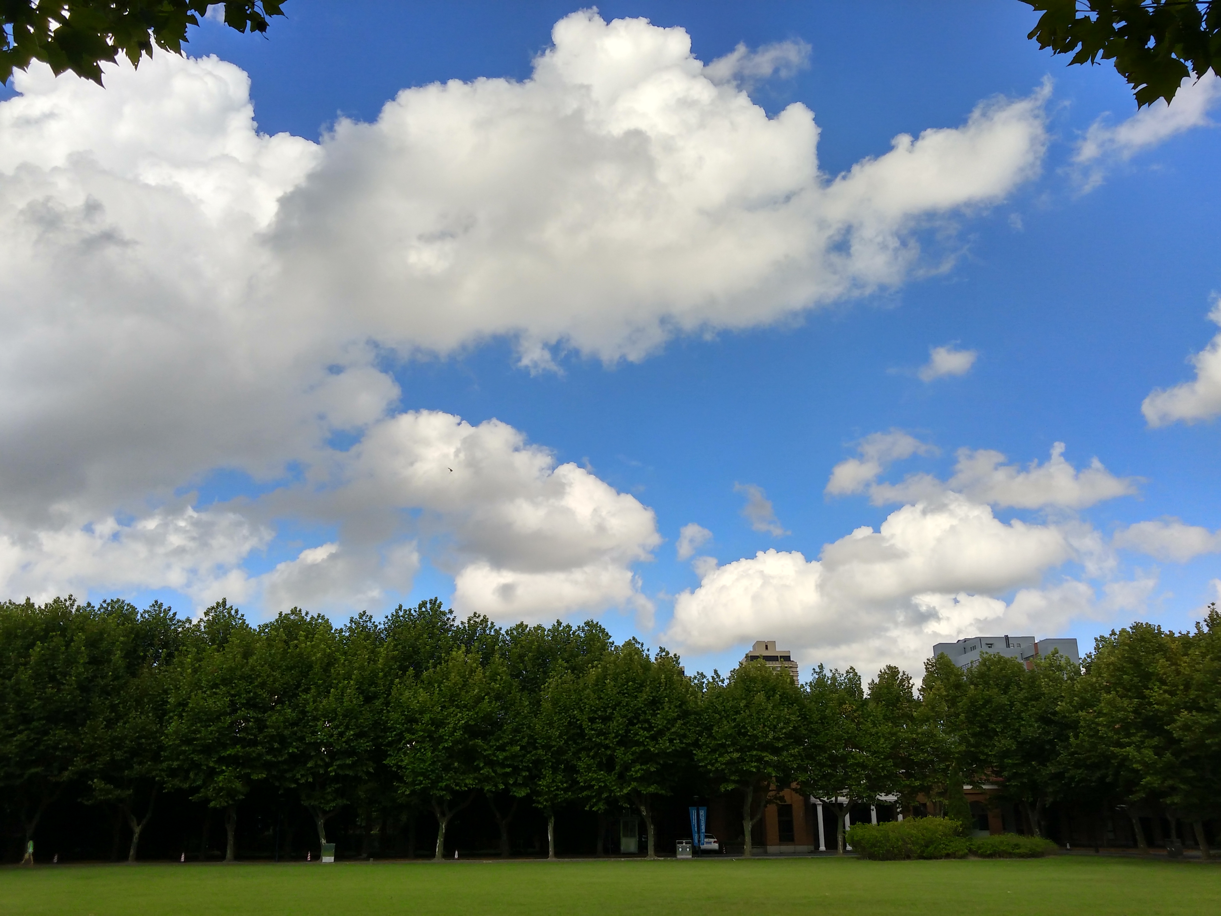 IMG_20160808_083829_HDR